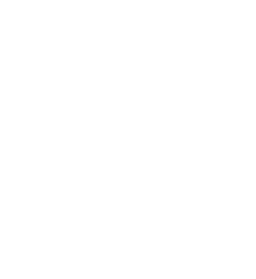 Brief logo